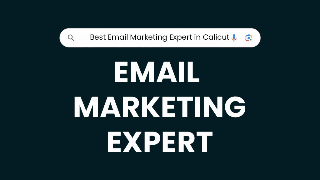 best email marketing expert in calicut,kerala