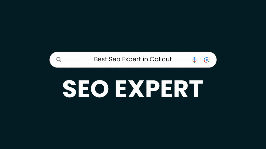 best seo expert in calicut,kerala